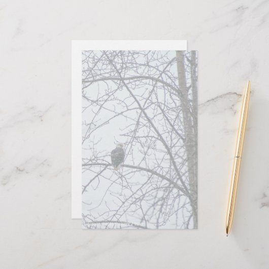 Überwachung (Vorderseite/Rückseite Beispiel)