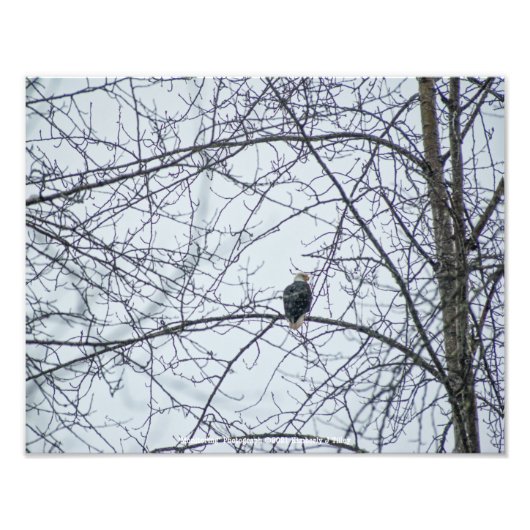 Überwachung Fotodruck (Vorne)