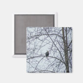 Überwachung Magnet (Vorderseite/Rückseite)