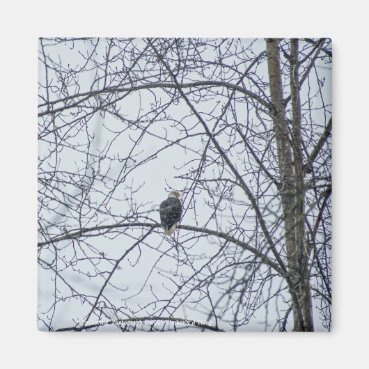 Überwachung Magnet (Vorne)