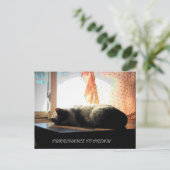 ÜBERWACHUNG POSTKARTE (Stehend Vorderseite)