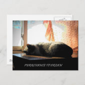 ÜBERWACHUNG POSTKARTE (Vorne/Hinten)