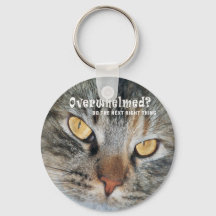 überwältigt Nellie