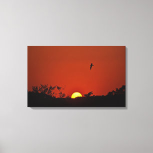 überwölbte Leinwand über dem Sumpf