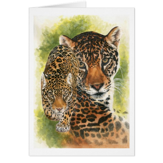 überzeugend (Vorne)