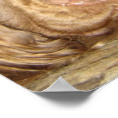 ÜBERZEUGEND SUSSEX POSTER (Ecke)