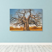 überzogene Canvas des Baobab-Baumes Leinwanddruck (Insitu (Holzboden))