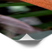 Ubud Travel, Bali Travel Poster (Ecke)