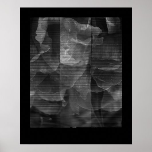 Übung in Kontinuität Poster (Vorne)