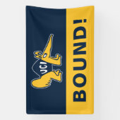UC Irvine | UCI Anteaters Banner (Vertikal)