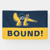 UC Irvine | UCI Anteaters Banner (Horizontal)