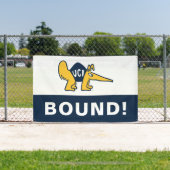 UC Irvine | UCI Anteaters Banner (InSitu)
