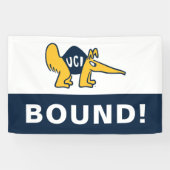 UC Irvine | UCI Anteaters Banner (Horizontal)