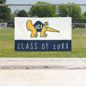 UC Irvine | UCI Anteaters Banner (Insitu)
