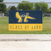 UC Irvine | UCI Anteaters Banner (Insitu)