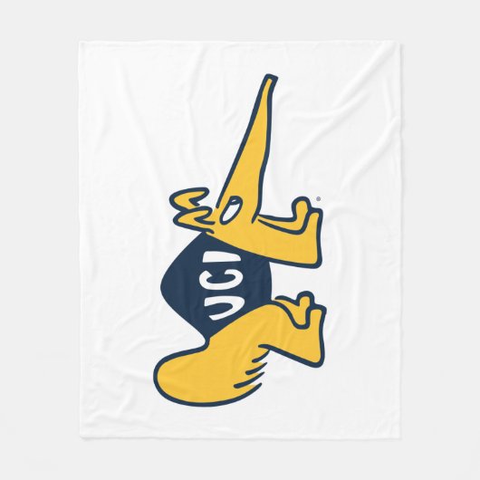 UC Irvine | UCI Anteaters Fleecedecke (Vorderseite)