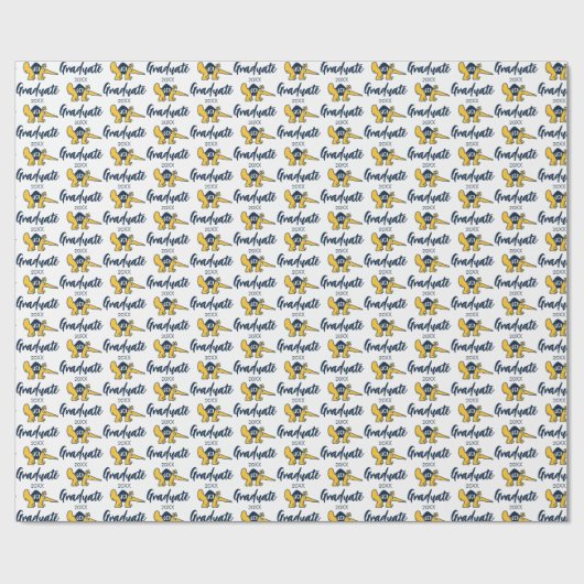 UC Irvine | UCI Anteaters Geschenkpapier (Flach)
