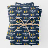 UC Irvine | UCI Anteaters Geschenkpapier Set (Beispiel)