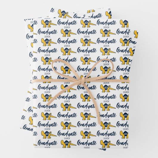 UC Irvine | UCI Anteaters Geschenkpapier Set (Beispiel)