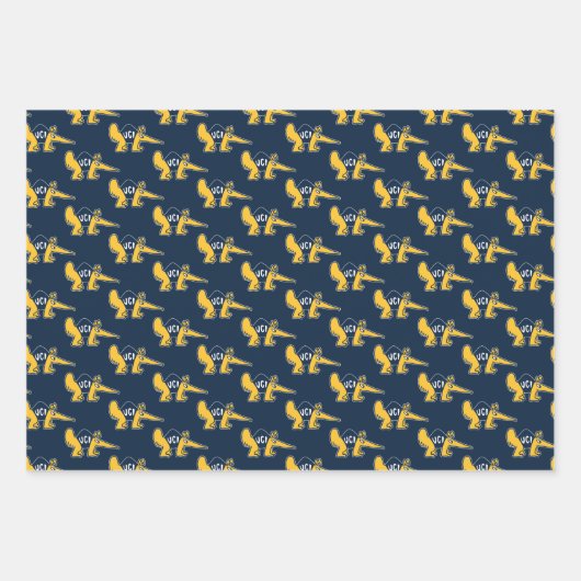 UC Irvine | UCI Anteaters Geschenkpapier Set (Vorderseite 3)