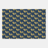 UC Irvine | UCI Anteaters Geschenkpapier Set (Vorderseite)