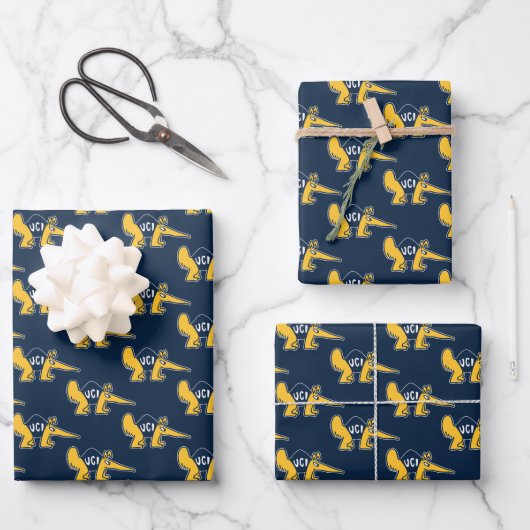 UC Irvine | UCI Anteaters Geschenkpapier Set (Vorderseite)