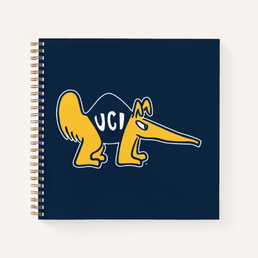 UC Irvine | UCI Anteaters Notizblock (Vorderseite)