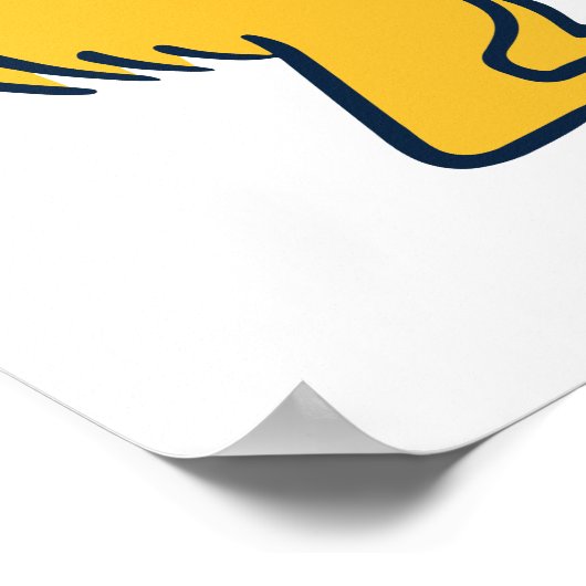 UC Irvine | UCI Anteaters Poster (Ecke)