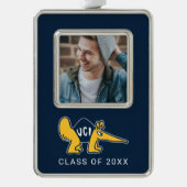 UC Irvine | UCI Anteaters Rahmen-Ornament Silber (Vorderseite)