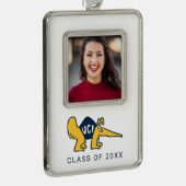 UC Irvine | UCI Anteaters Rahmen-Ornament Silber (Rechts)