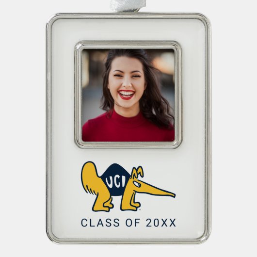 UC Irvine | UCI Anteaters Rahmen-Ornament Silber (Vorderseite)