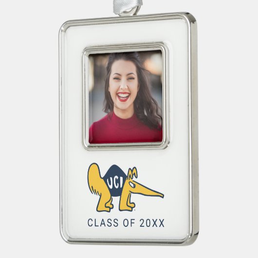 UC Irvine | UCI Anteaters Rahmen-Ornament Silber (Links)