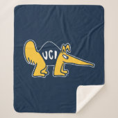 UC Irvine | UCI Anteaters Sherpadecke (Vorderseite)