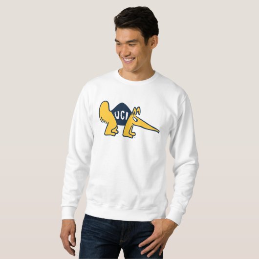 UC Irvine | UCI Anteaters Sweatshirt (Vorne ganz)