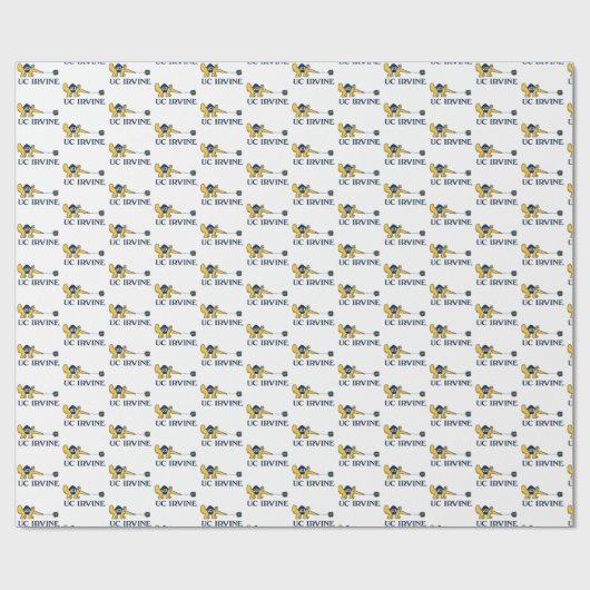 UC Irvine | UCI Anteaters Zot! Geschenkpapier (Flach)
