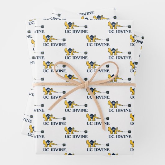 UC Irvine | UCI Anteaters Zot! Geschenkpapier Set (Beispiel)