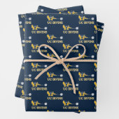 UC Irvine | UCI Anteaters Zot! Geschenkpapier Set (Beispiel)