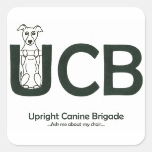 UCB-Logo-Aufkleber Quadratischer Aufkleber