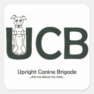 UCB-Logo-Aufkleber Quadratischer Aufkleber