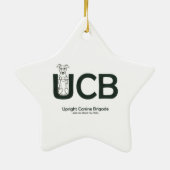 UCB Ornament MegaE Aufklärungsband (Hinten)