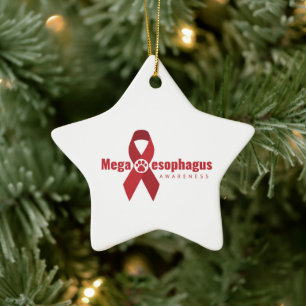 UCB Ornament MegaE-Sensibilisierungsband