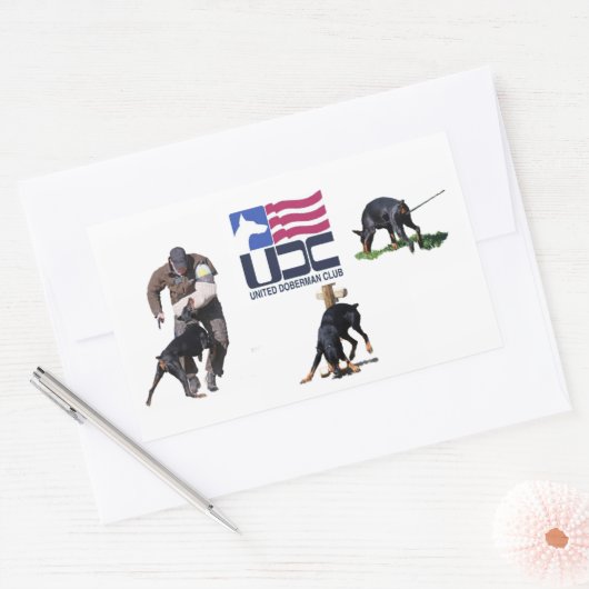 UDC IPO-Aufkleber Rechteckiger Aufkleber (Umschlag)