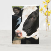 Udderly alles Gute zum Geburtstag Karte (Gelbe Blume)