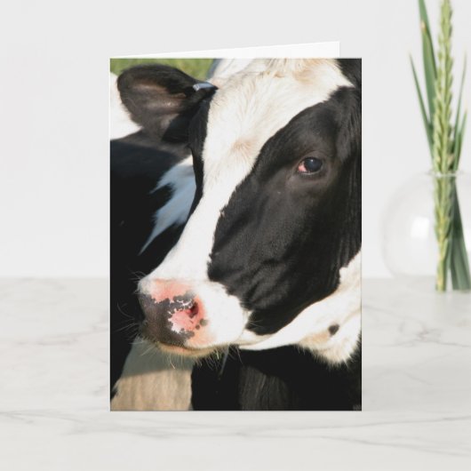 Udderly alles Gute zum Geburtstag Karte (Vorderseite)