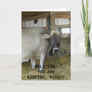 UDDERLY FAB 40. GEBURTSTAG SPASS KARTE