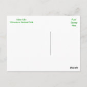 Udine Falls, Yellowstone Park, Wyoming Postcard Postkarte (Rückseite)