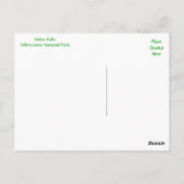 Udine Falls, Yellowstone Park, Wyoming Postcard Postkarte (Rückseite)