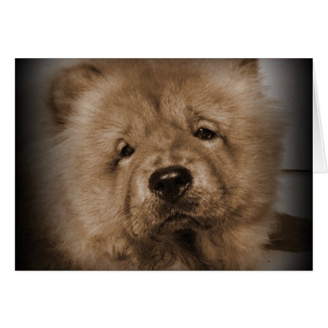 Udon, mein Baby (Vorderseite (Horizontal))