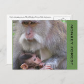 Udud Macaque Postkarte (Vorne/Hinten)