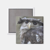 Ueno, Taitoh-ku, Tokio, Japan 2 Magnet (Vorderseite/Rückseite)